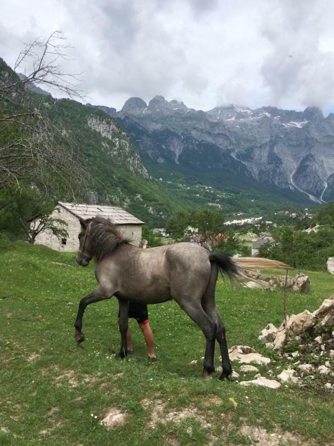 Bujtina Zici Hotell Theth Exteriör bild